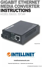 Notice Intellinet 507349 Convertisseur audio/vidéo