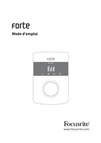 FOCUSRITE Forte - Interface audio