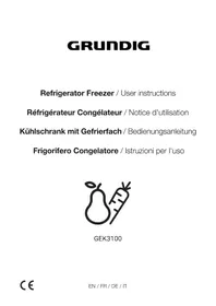 Notice GRUNDIG GEK3100 Réfrigérateur