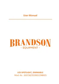 Notice Brandson 303738 Lampe