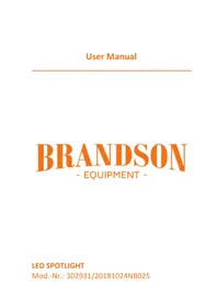 Notice Brandson 302931 Lampe