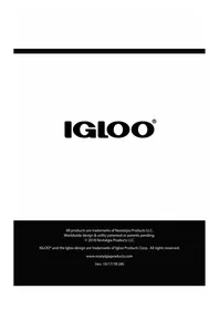 Igloo IRF32DDRSRD - Fridge