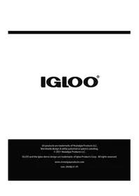 Notice Igloo IGLICEB33BK Machine à glaçons