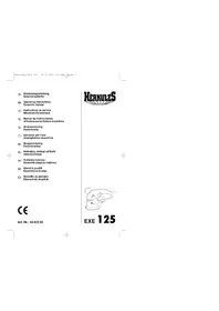 EINHELL EXE 125 - Schleifmaschine