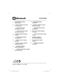 Notice EINHELL TC-PG 8000 Générateur