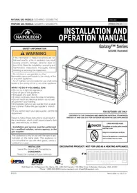 Notice Napoleon GALAXY GSS48E Cheminée