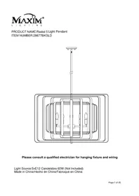 Notice Maxim RADIAL 28677BKGLD Lampe
