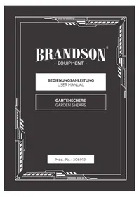 306919 Brandson