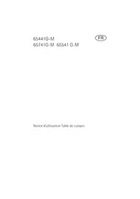 65741G-M AEG