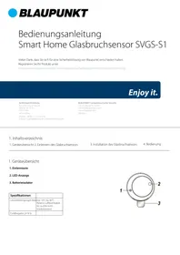BLAUPUNKT SVGS-S1 - Überwachungskamera