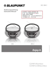 BLAUPUNKT B 3 - Hi-Fi-System
