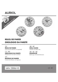 IAN 288610 AURIOL