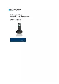 Option Tam BLAUPUNKT