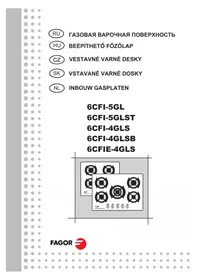 6CFI-4GLSB FAGOR