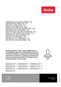 OSC 6461 I AMICA