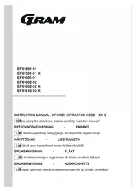 GRAM EFU 601-91 - Liesituuletin
