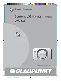 BLAUPUNKT BLUETOOTH-USB INTERFACE - Interface audio