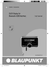 BLAUPUNKT OLED-DISPLAY BT/USB-INTERFACE - Écran OLED avec interface BT/USB
