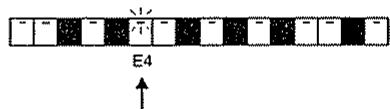ROLAND MC-303 - Modification des valeurs de paramètre d'une note déjà programmée - 2