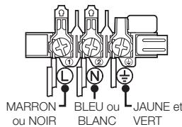 SAMSUNG NV70F7766LS - Branchement électrique - 1