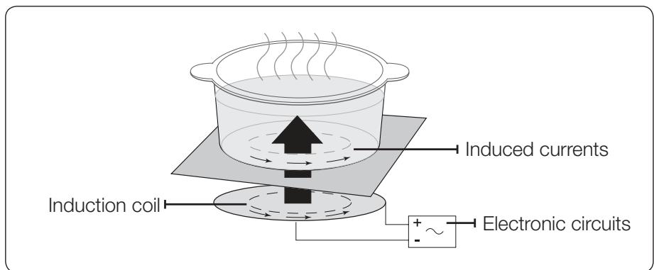 SAMSUNG NZ63F3NM1BB/UR - INDUCTION HEATING - 1