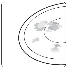 SAMSUNG NZ63F3NM1BB/UR - Problem Dirt - 3
