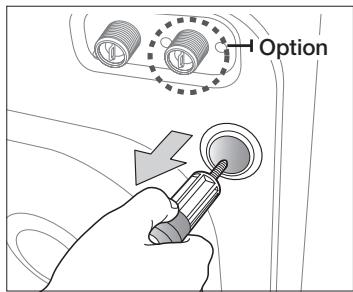 SAMSUNG ECO BUBBLE WD1704RJC1 - Enlever les vis de transport - 2