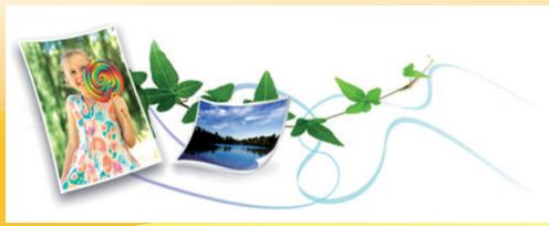 SAMSUNG ML-2955ND - Respectieux de l'environnement - 1