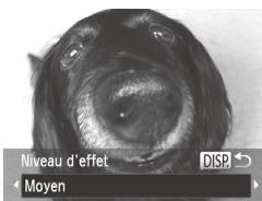 CANON POWERSHOT SX50 HS - Prise de vue avec un effet d'objet à très grand angle (Effet très grand angle) - 1