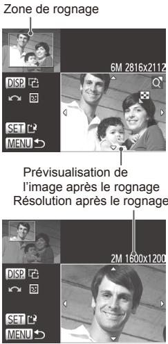 CANON POWERSHOT SX50 HS - Rognage - 2