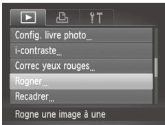 CANON POWERSHOT SX50 HS - Rognage - 1