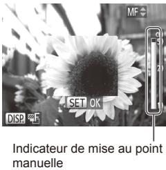 CANON POWERSHOT SX50 HS - Prise de vue en mode de mise au point manuelle - 2