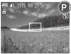 CANON POWERSHOT SX50 HS - Prise de vue en mode programme AE (mode) - 1