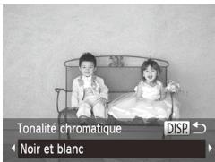 CANON POWERSHOT SX50 HS - Prise de vue monochrome - 1