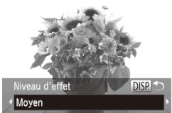 CANON POWERSHOT SX50 HS - Prise de vue avec un effet flou artistique - 1