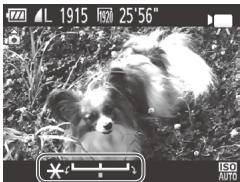 CANON POWERSHOT SX50 HS - Mémorisation ou modification de la luminosité de l'image avant la prise de vue - 1