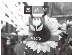 CANON POWERSHOT SX50 HS - Prise de vue en gros plan (macro) - 1