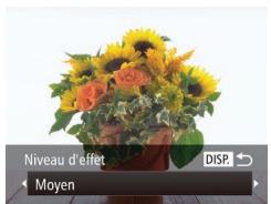 CANON POWERSHOT SX700 HS - Prise de vue avec un effet Flou artistique - 1