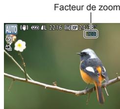 CANON POWERSHOT SX700 HS - Zoom avant rapproché sur des sujets (Zoom numérique) - 2