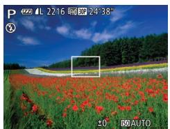 CANON POWERSHOT SX700 HS - Prise de vue dans le Programme AE (Mode [P]) - 1