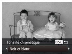 CANON POWERSHOT SX700 HS - Prise de vue monochrome - 1