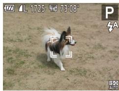 CANON IXUS 285 HS - Choisissez le sujet sur lequel effectuer la mise au point. - 1