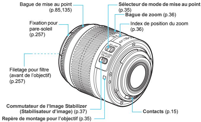CANON 1100D - Zone dédiée à l'image - 1