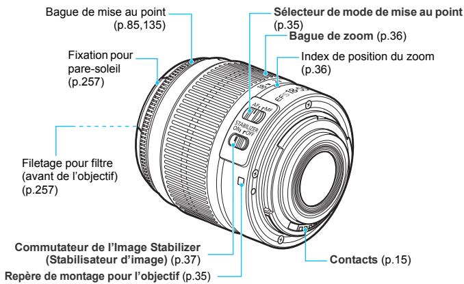 CANON EOS 1100D - Zone dédiée à l'image - 1