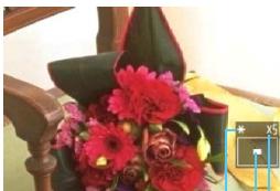 CANON EOS 1200D - Agrandissez l'image. - 1