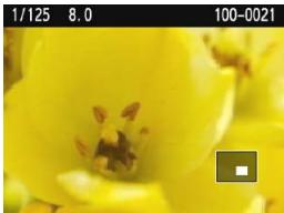 CANON EOS 1200D - Agrandissez l'image. - 2