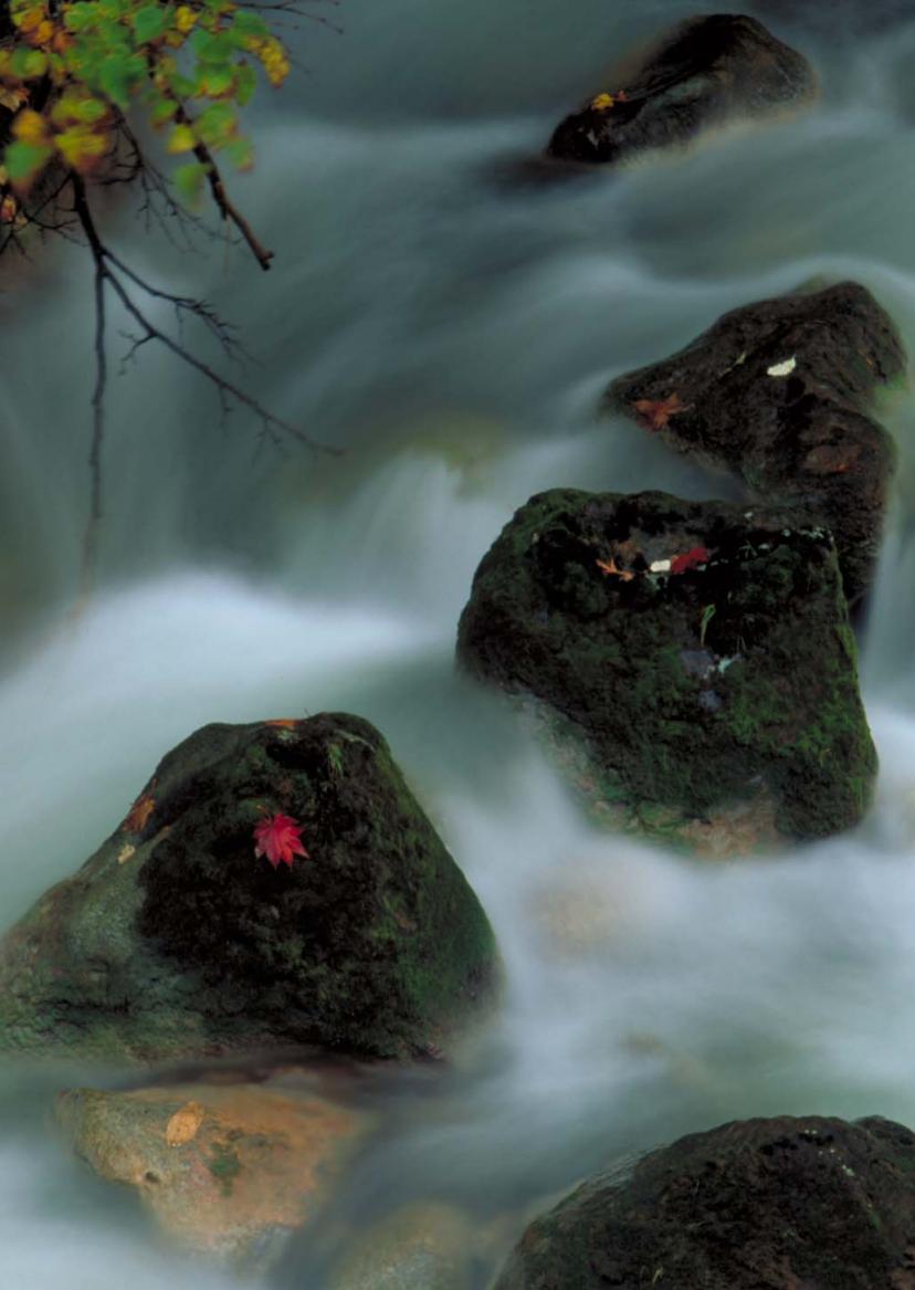 CANON EOS 1200D - Terminate le nettoyage. - 3