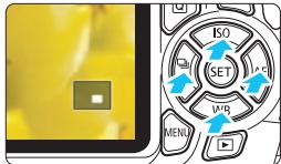 CANON EOS 1200D - Agrandissez l'image. - 1