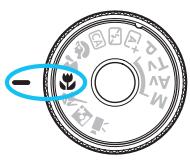 CANON EOS 1200D - Conseils de prise de vue - 3