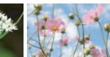CANON EOS 1200D - Impression - 1